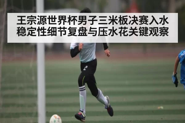 王宗源世界杯男子三米板决赛入水稳定性细节复盘与压水花关键观察
